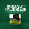 Hydrolyzed Hyaluronic Acid | Rizthetics